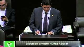 Dip. Ernesto Núñez (PVEM) - Ley de Migración