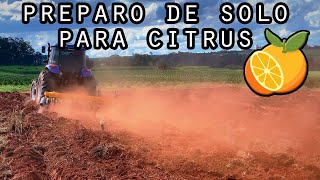 Renovação de Pomar de Laranja - Vlog - Preparo de Solo