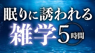 【睡眠導入】眠りに誘われる雑学5時間【合成音声】