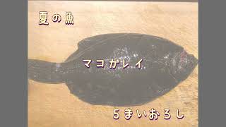 上級者向け　魚好き必見　鰈の5枚卸し\u0026寄生虫対策