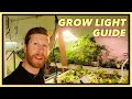 The LED Grow Light Guide for Houseplants