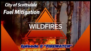 Wildfire Mitigation - Cleaning Up Hazardous Vegetation