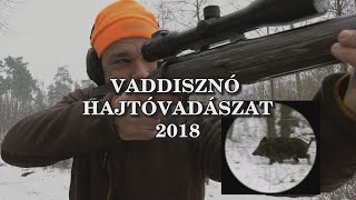 Vaddisznó hajtóvadászat 2018 - Előzetes