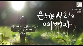 [굿트리씨 예배] 2023.4.16 -광야에서 말씀하시다(2) (민11:1~15, 임요한 목사)