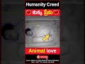 🫡 కుక్క ప్రేమ 🫡 dog caring a baby cute video humanity shorts youtubeshorts