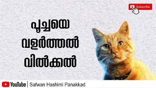 #HowtoManageYourPetCat പൂച്ചയെ വളർത്തൽ വിൽക്കൽ