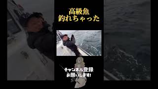 化け物みたいな顔の高級魚を釣り上げた...#shorts