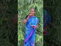 aruvadai rajakalai shorts comedy funny youtubeshorts trending viralshorts tamil love