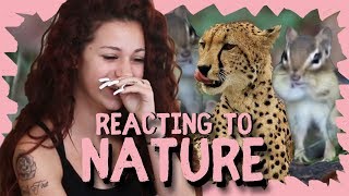 Danielle Bregoli Reacts to Nature (REACTION)