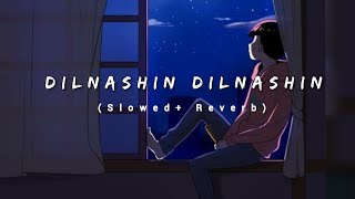 Dilnashin Dilnashin [Slowed and reverb] [ Aashiq Banaya Aapne ] [ Emaraan Hashmi ]