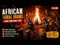 African Tribal Drums & Festival Rhythms 🥁🔥 African Drum Music Loop | Tribal Celebration Stream