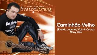 Evaldo Lucena - Caminhão Velho