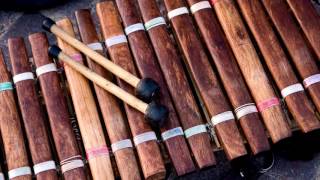 Xylophone Ringtone Free Music Ringtones For Android MP3 Download