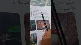 النمو والتكاثر في الإنسان والحيوان