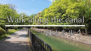 [4K] Walk along the canal,Fresh green,nature sounds [Japan Walk in Kyoto]