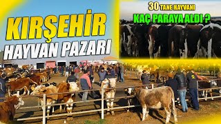 ''KIRŞEHİR'' CANLI HAYVAN PAZARINI SİZLER İÇİN GEZDİM | BÖLÜM 1 !!!