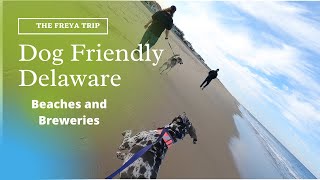 The Freya Trip Exploring Dog Friendly Delaware
