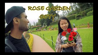 Rose Garden in OOTY, Hill station, Coimbatore, Tamilnadu #mydreamlife