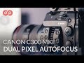 Using Dual-Pixel Autofocus on the Canon C300 Mark II