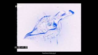 coldplay; square one (slowed + reverb)