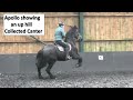 Friesian Horse Apollo showing what Huge gaits he has when we play in the Indoor School