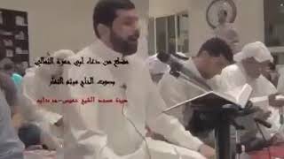 مقطع تقشر له الابدان ميثم التمار  (دخيلك ياعلي ع)