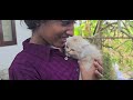 വീണ്ടും ചില വീട്ടുവിശേഷങ്ങൾ. familyvlog family