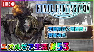 【FF14】初心者のエオルゼア生活５３枠目！2層練習できなかったので雑談