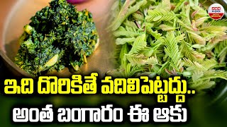 ఇది దొరికితే వదిలిపెట్టద్దు అంత బంగారం ఈ ఆకు | Amazing Health Benefits of These Leaves | ABN Digital