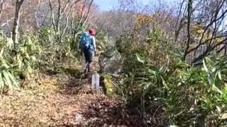 ☆彡谷厳寺～赤岩ノ頭(西峰)【高社山】晩秋の信州山歩き