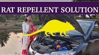 Rat Repellent | Method To Protect Car From Rat Bite | ಕಾರ್ ಅನ್ನು ಇಲಿಯಿಂದ ಕಾಪಾಡುವ ನೈಸರ್ಗಿಕ ವಿಧಾನ |