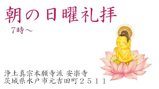 朝の日曜礼拝 令和4年5月8日「正信念仏偈」「横截五悪趣章」「拝読用法語：総序の文（浄土真宗 聖典 勤行集 黒 149p～）」