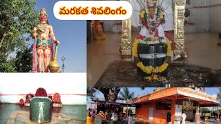 శంకరపల్లిలోని మరకత ​​శివలింగం|| marakatha shivalingam#shambosankara#omnamahshivaya#shiva#shivatemple