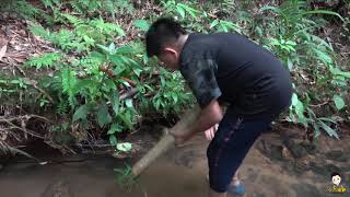 捉魚玩出新花樣，小六把最愛雞美麗拿出來分享，盼望大貨入籠【小六視野】