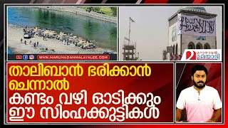 താലിബാനെ കളിയ്ക്കാൻ നിക്കണ്ട.. ഓടിച്ച് വിടും ഇവർ  l Afghanistan