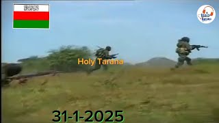 31-1-2025 ARSA Vs Video's AA Arakan Rohingya Salvation Army Fight's In Myanmar's🇲🇲 Jung Terrorist AA