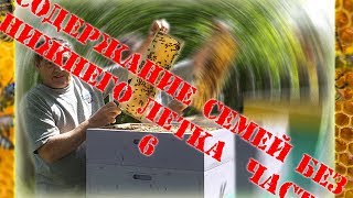 Содержание семей без нижнего летка  Часть 6