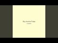 Sky Aurora Pulse