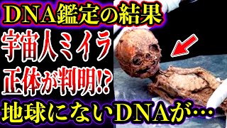 【ゆっくり解説】宇宙人のミイラをDNA検査した結果…正体が判明！？目撃証言ヤバい【UMA・未確認生物】