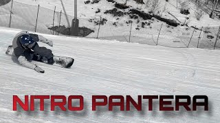 Обзор сноуборда Nitro Pantera