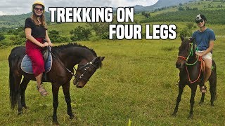 Pony trekking at Inle Lake with INLE HORSE CLUB (eco-friendly and sustainable) | Myanmar Travel