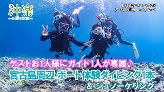 宮古島 体験ダイビング1本「ゲスト1人にガイド1人専属」SUN*ISLAND（サンアイランド）【沖楽】