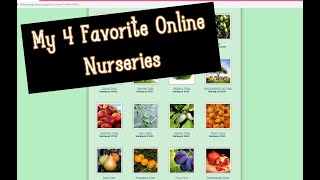 My 4 Favorite Online Fruit Tree Nurseries \u0026 Why