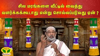 ARTHAMULLA AANMEGAM | சில மரங்களை வீட்டில் வைத்து வளர்க்கக்கூடாது என்று சொல்லப்படுவது ஏன் ?