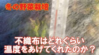 無被覆、不織布1枚、2枚で温度計測