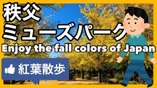 【紅葉】秩父ミューズパーク【いちょう並木】散歩 秋 散策 Fall leaves Gingko Japan Walking