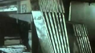 LiveLeak.com - Ally Mash Up