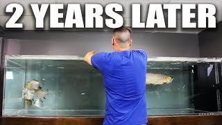 The evolution of the 375 gallon aquarium | The King of DIY