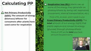 APES Notes 1.8 - Primary Productivity