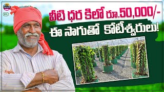 కోట్లలలో ఆదాయం వచ్చే,  కొత్త సాగు | New farming business ideas 2023 in telugu @TeluguSelfEmployment